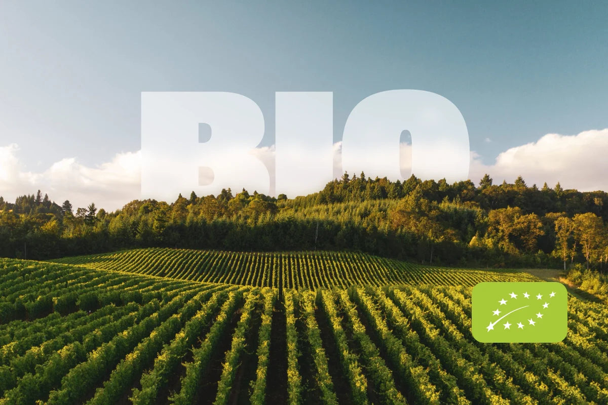 Aerial view of a sunny vineyard with green rows of vines, forest edge and blue sky; EU organic logo superimposed