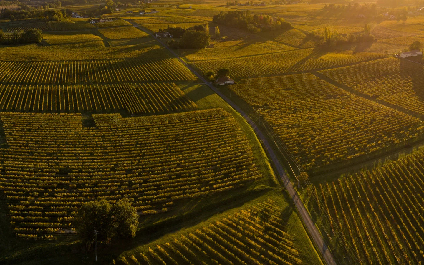Bordeaux Supérieur