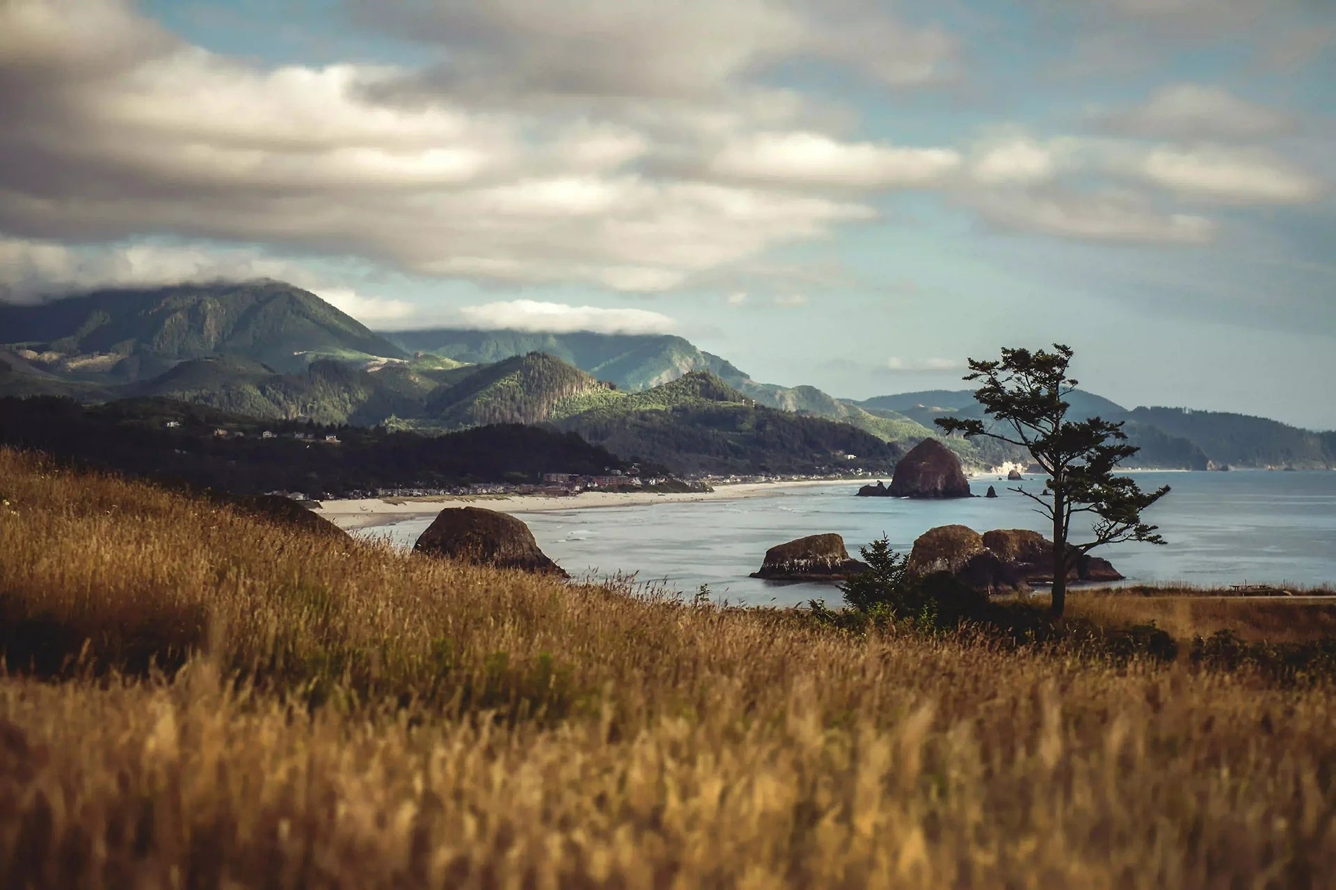 Oregon bei Vinoscout