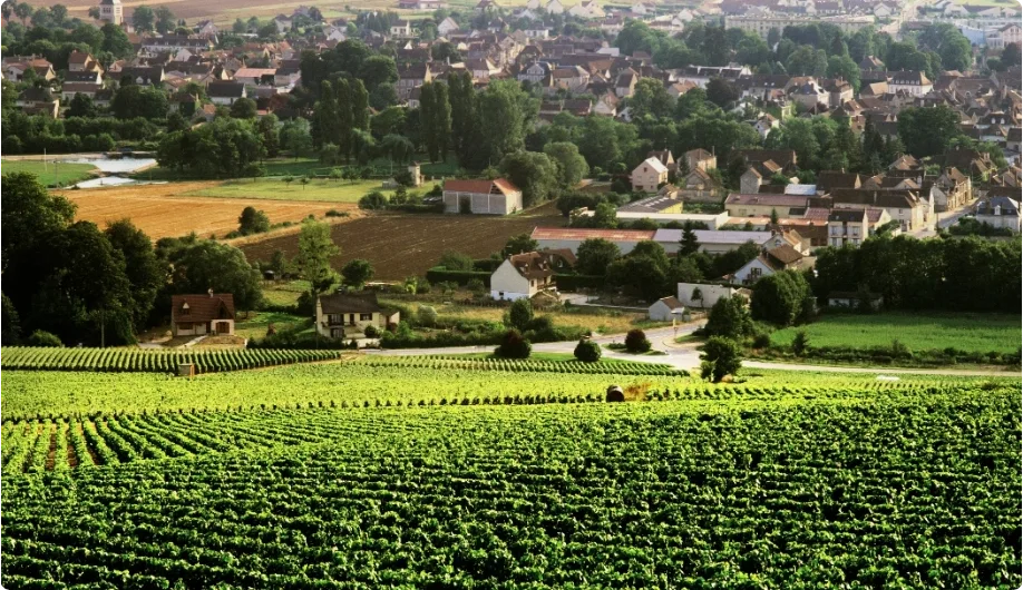 Chablis