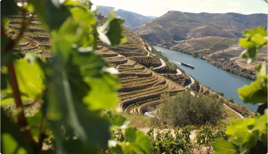 Douro