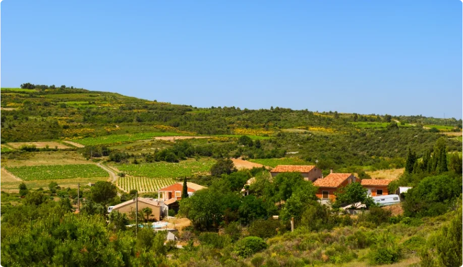 Minervois