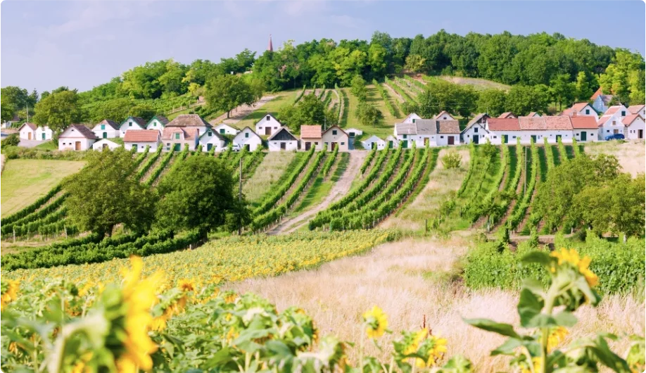 Niederösterreich