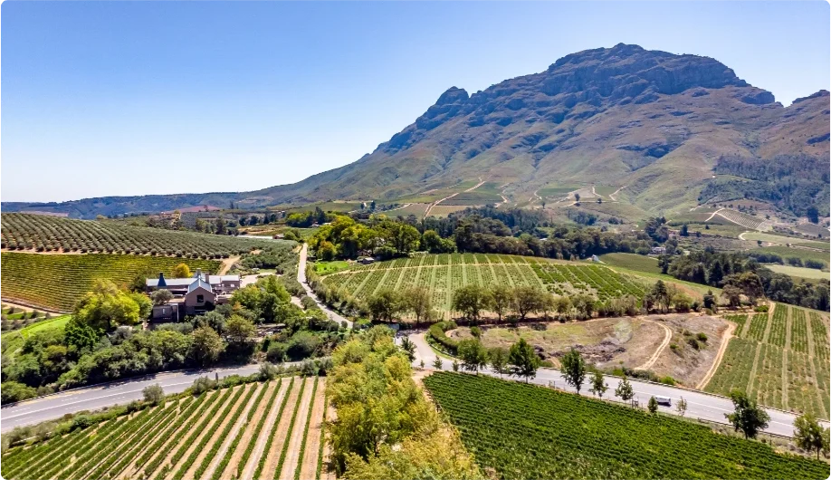 Stellenbosch