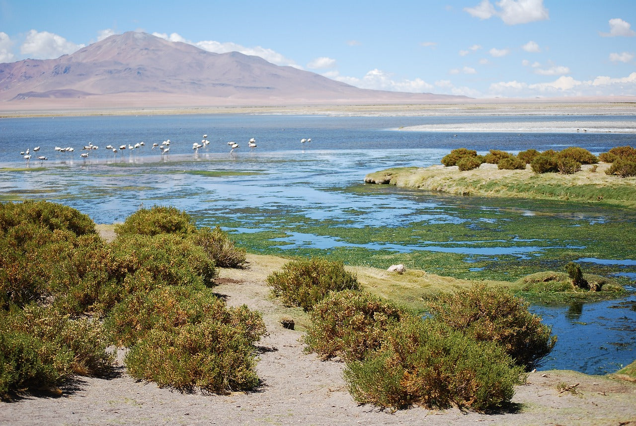Casablanca Valley
