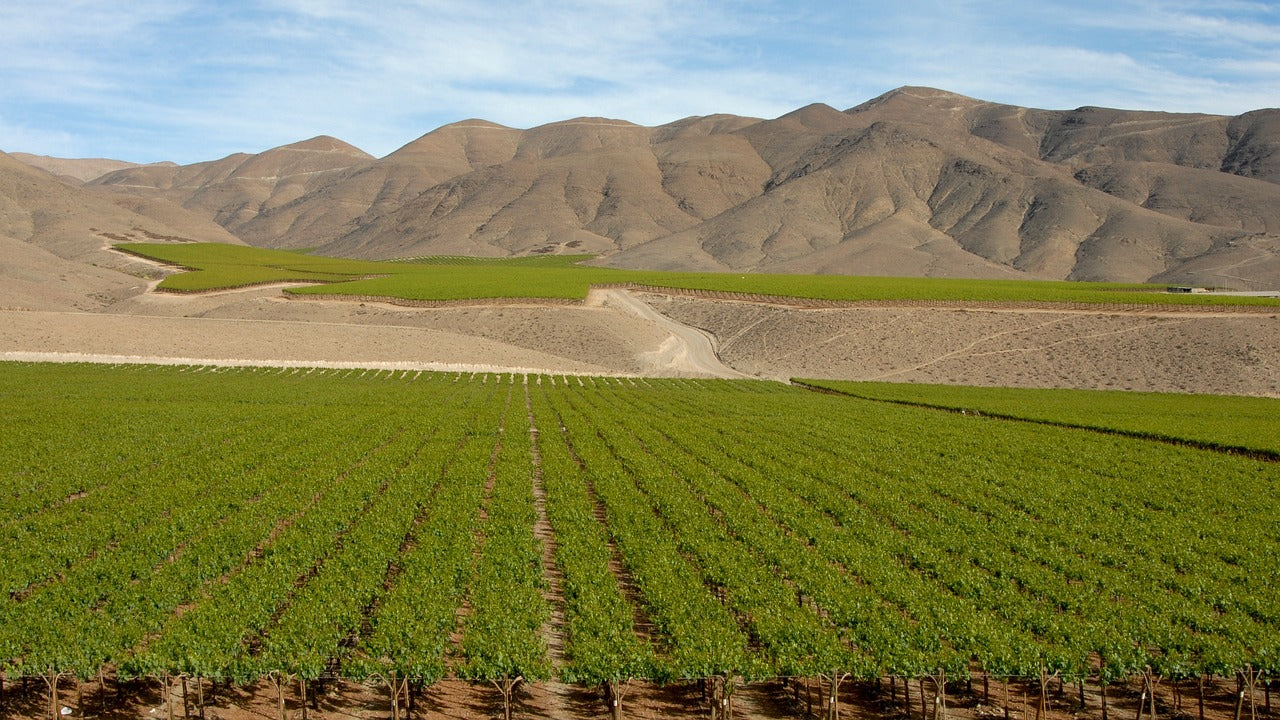 Valle del Limarí