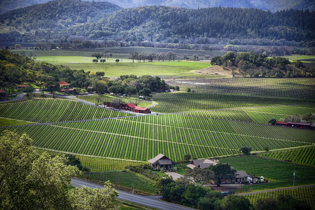 Paarl Valley