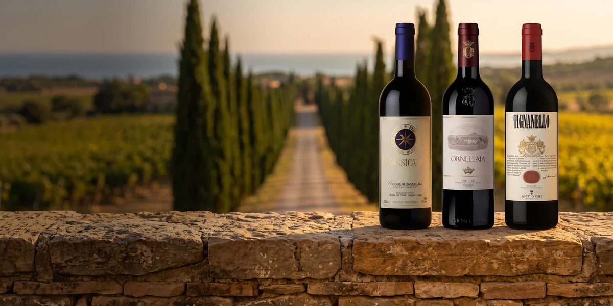 Sassicaia, Ornellaia and Tignanello on a stone wall in front of the cypress avenue of Bolgheri