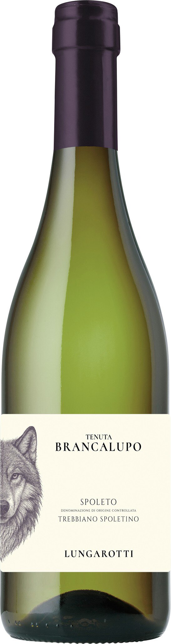 Spoleto Trebbiano Spoletino DOC Umbrien 0.75L