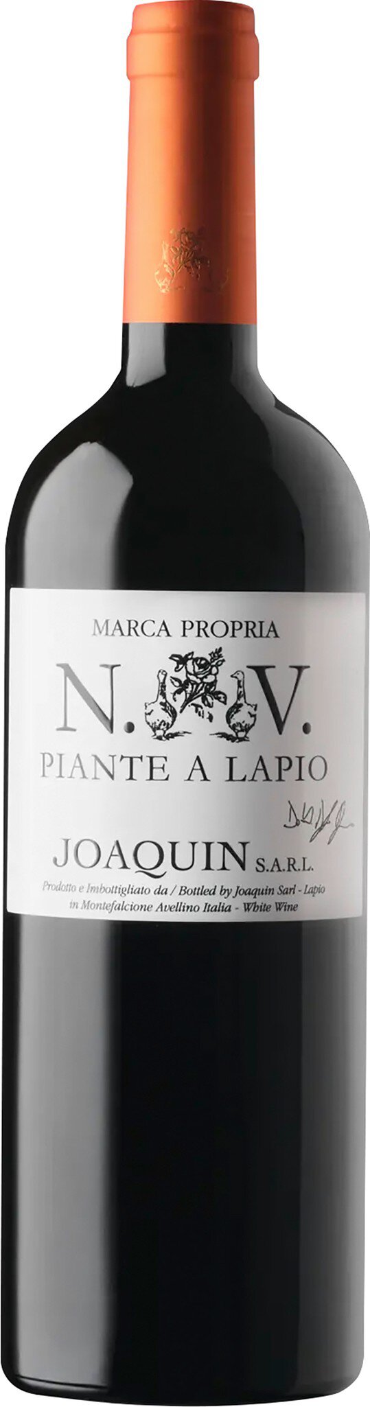 Joaquin N.V. Piante a Lapio Fiano Campania IGT 0.75L
