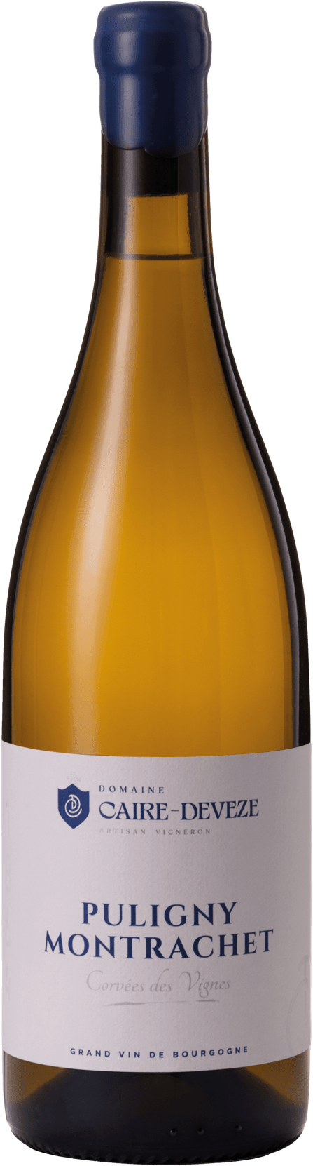 Puligny Montrachet Corvée des Vignes