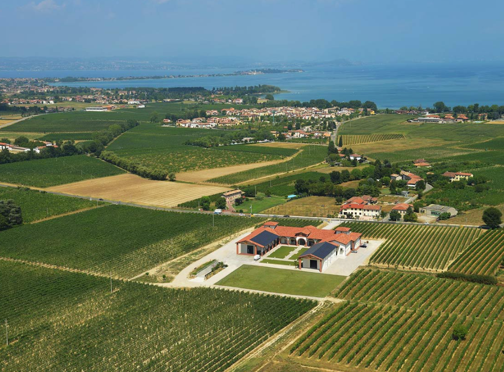 Valerio Zenato, Weingut Le Morette am südlichen Gardasee, Weinberge und Landschaft der Region