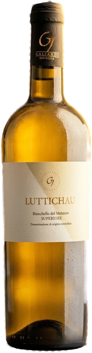 Galiardi Luttichau Bianchello Superiore DOC, helle Weißweinflasche aus den Marken, Italien