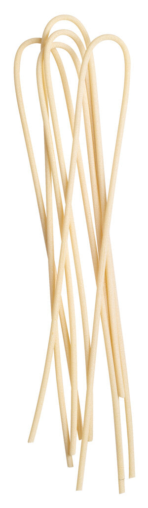 Bucatini, Bio
