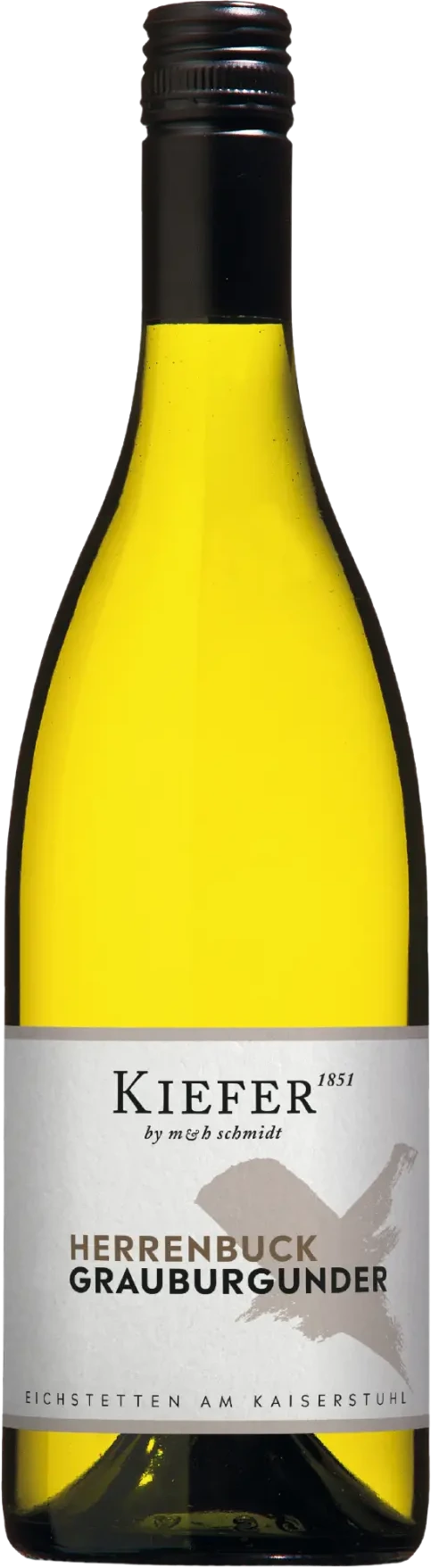 Kiefer Grauburgunder Kabinett trocken