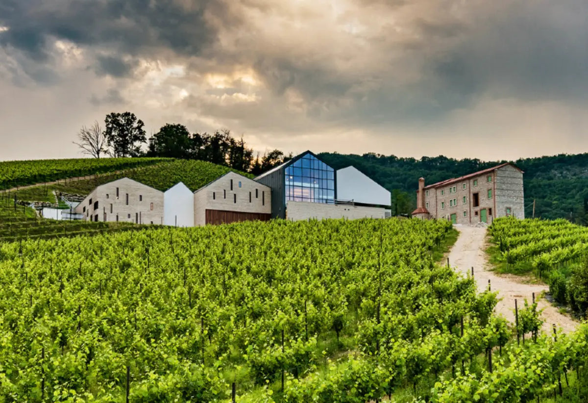 Sacchetto Weingut in Venetien, Italien – Hersteller von Weinen und Prosecco aus 65 Hektar Rebfläche