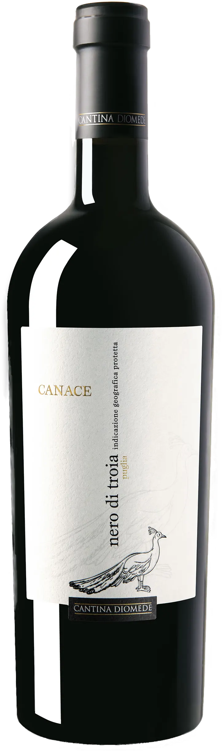 Canace Nero di Troia Puglia
