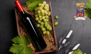 Banfi