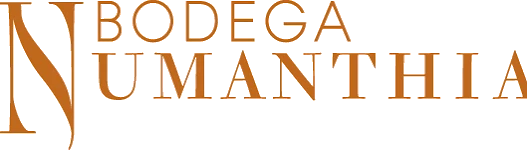 Logo von Bodega Numanthia, Weingut aus der Toro-Region in Kastilien und León, Spanien
