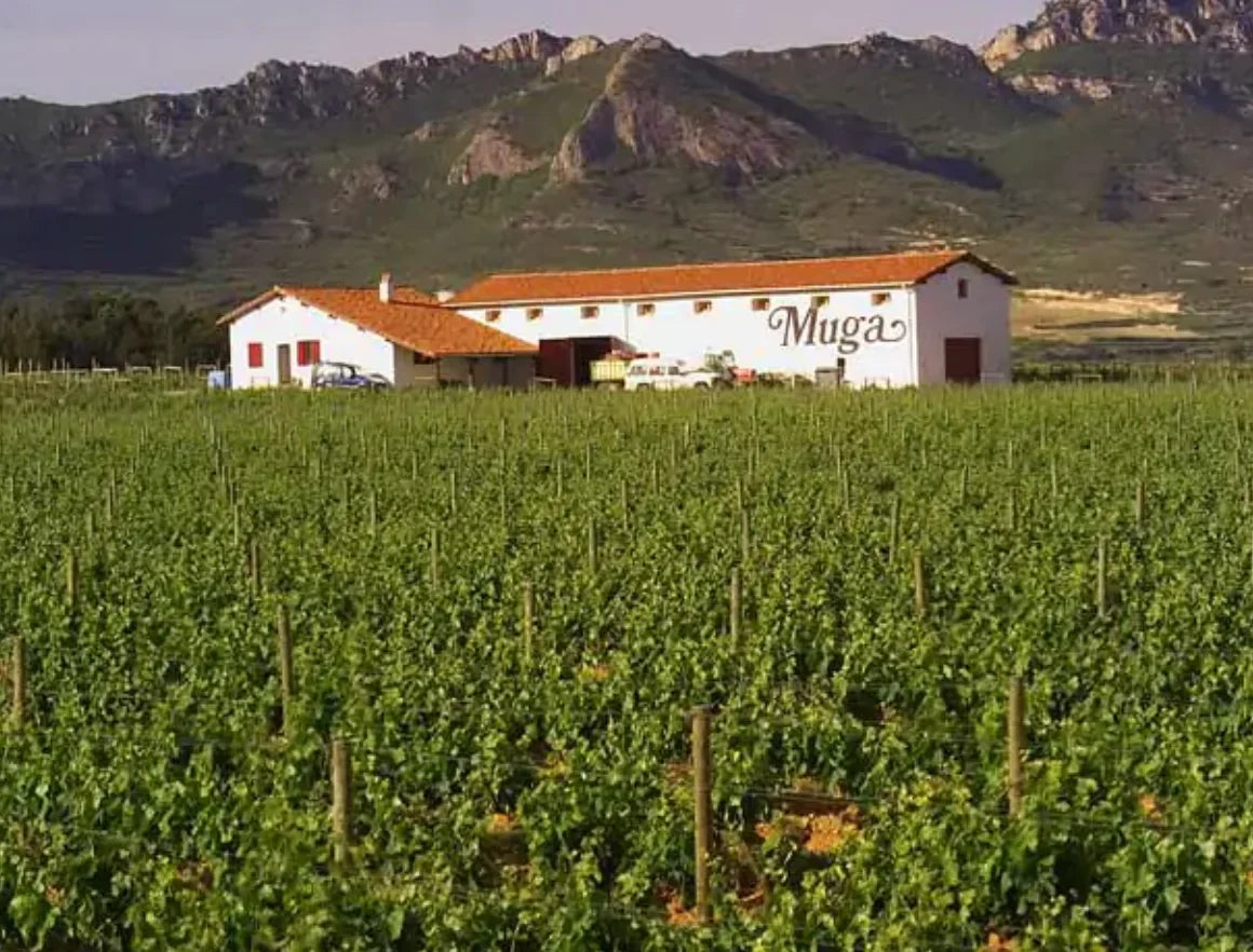 Bodegas Muga – Titelbild