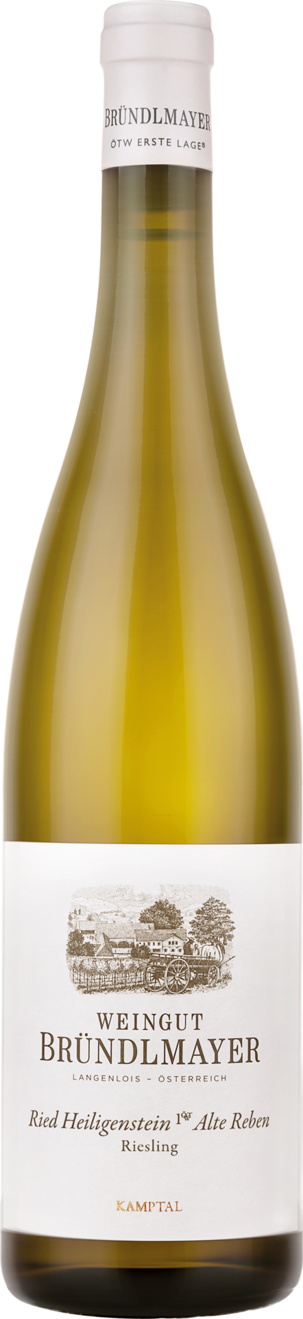 Bründlmayer Riesling Ried Heiligenstein Alte Reben 1ÖTW