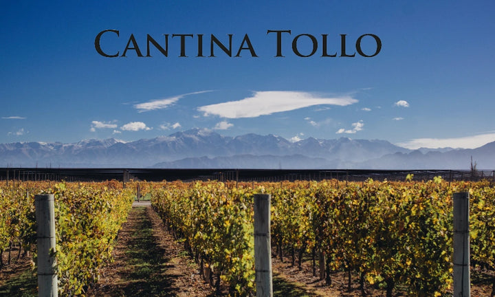 Cantina Tollo – Logo