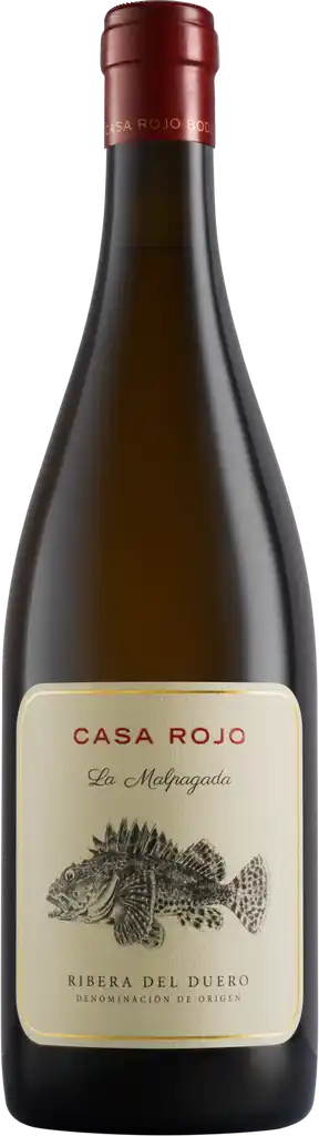 White wine bottle Casa Rojo La Malpagada from Spain