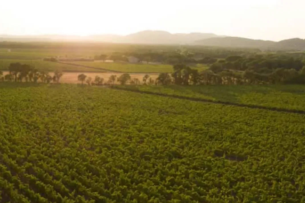 Castel Châteaux & Grands Crus – Titelbild