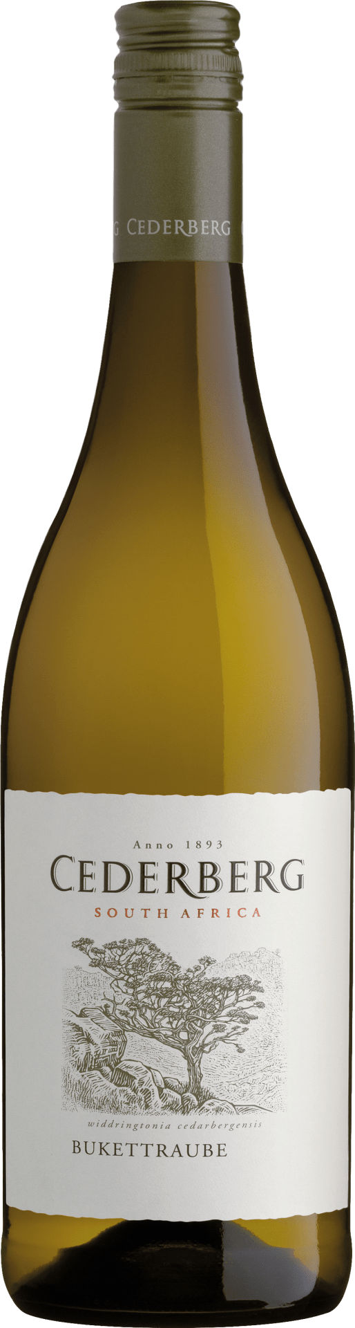 Cederberg bouquet grape WO Cederberg