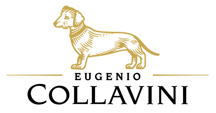 Collavini – Logo, Weine aus Collio, Italien
