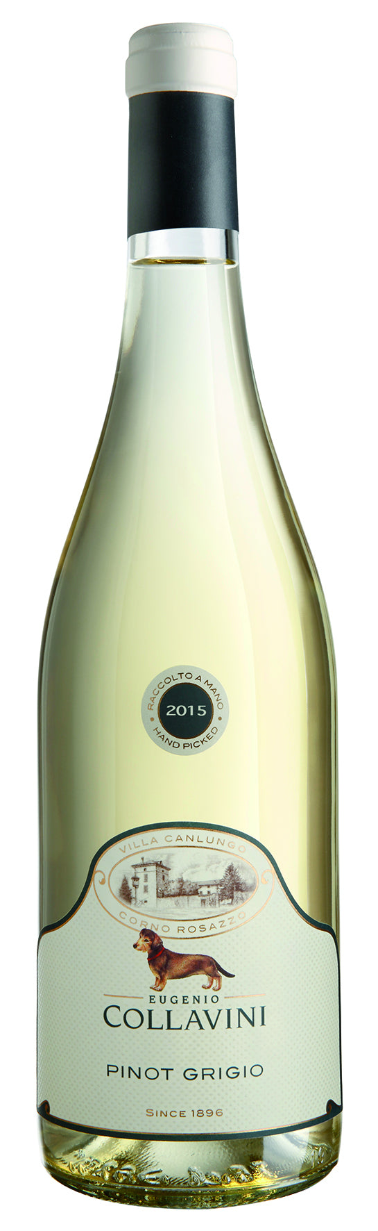 Villa Canlungo Pinot Grigio Venezia Giulia