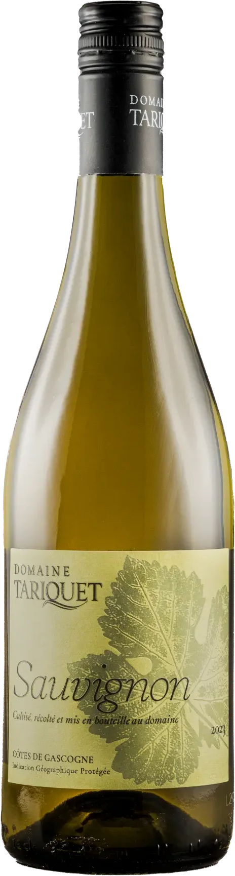 Domaine Tariquet Sauvignon Blanc
