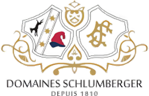 Domaines Schlumberger