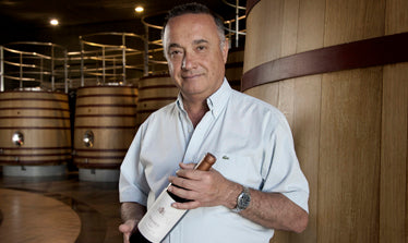 Bodegas Salentein im Valle de Uco, Argentinien – Weinberge am Fuße der Anden in der Provinz Mendoza