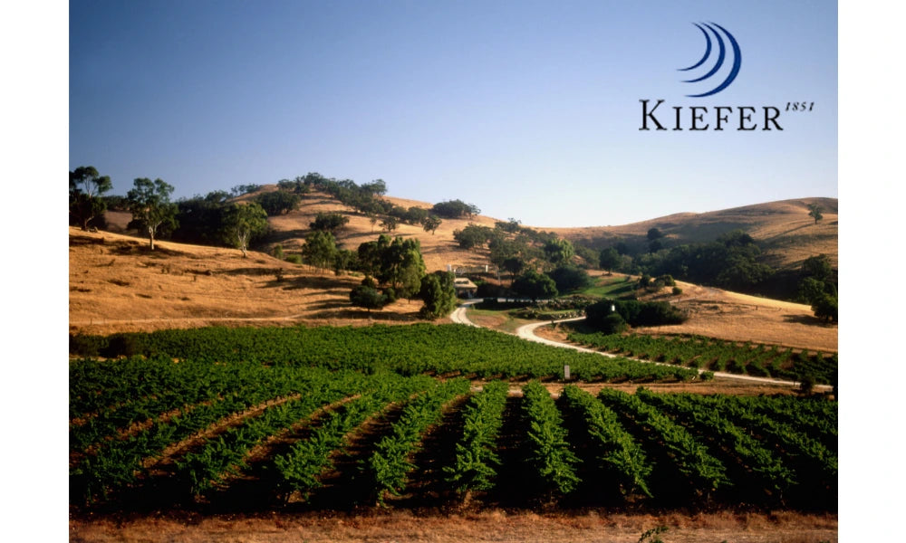 Kiefer – Logo