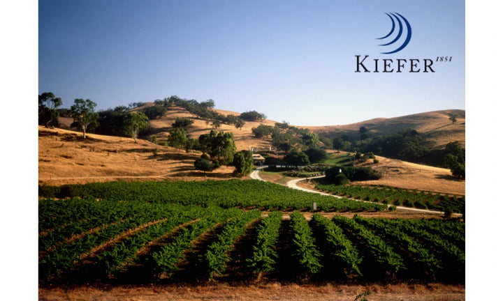 Kiefer – Logo, Weine aus Kaiserstuhl, Deutschland