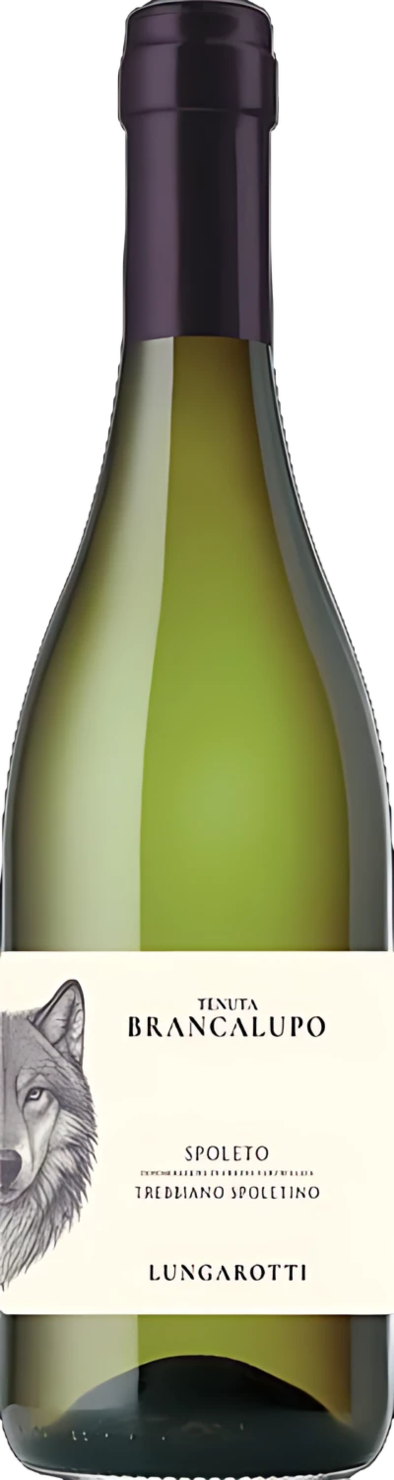 Lungarotti Spoleto Trebbiano Spoletino, weiße Weinflasche mit Etikett