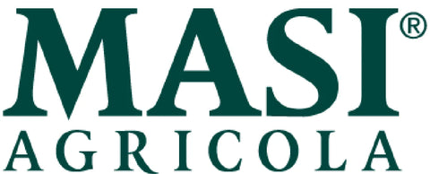 Masi