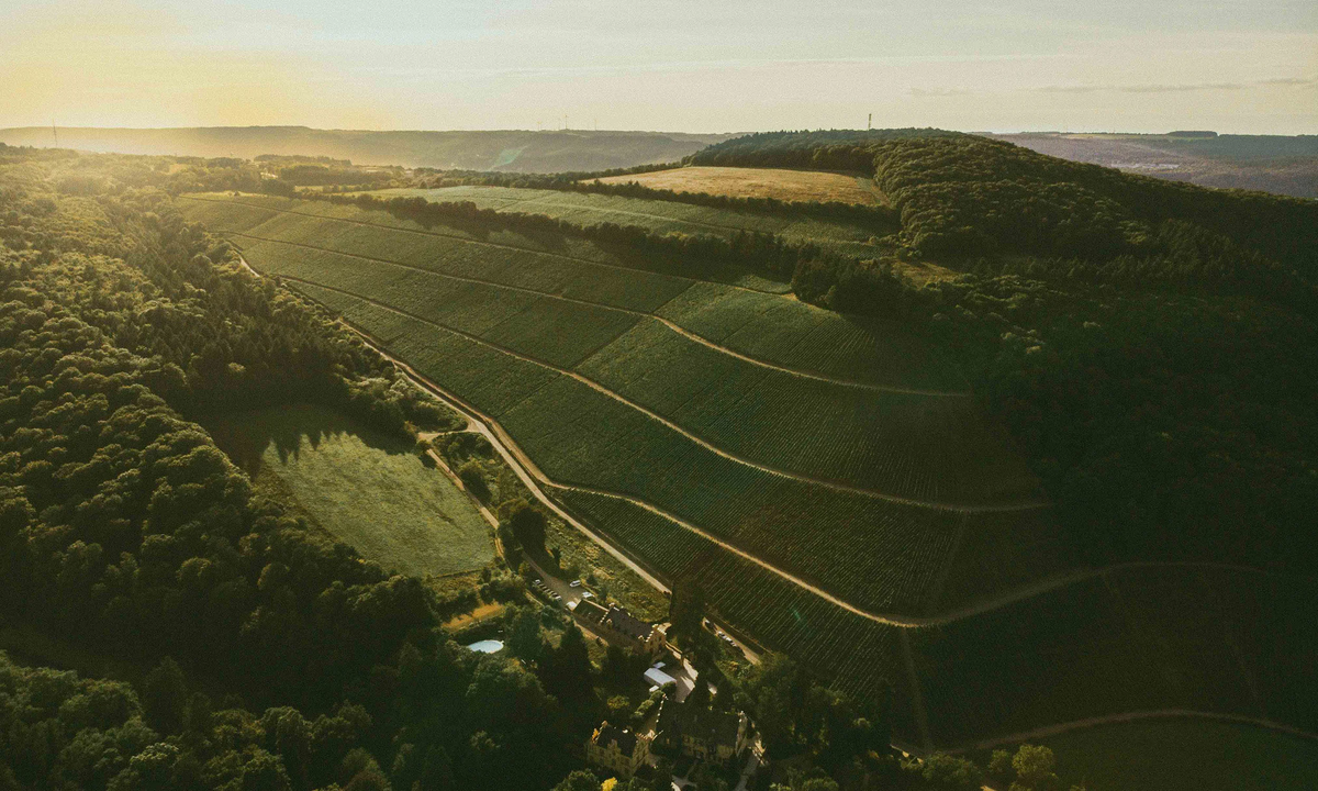 Weingut Maximin Grünhaus im Ruwer-Tal, Familie von Schubert, Riesling-Lagen Abtsberg, Bruderberg und Herrenberg.