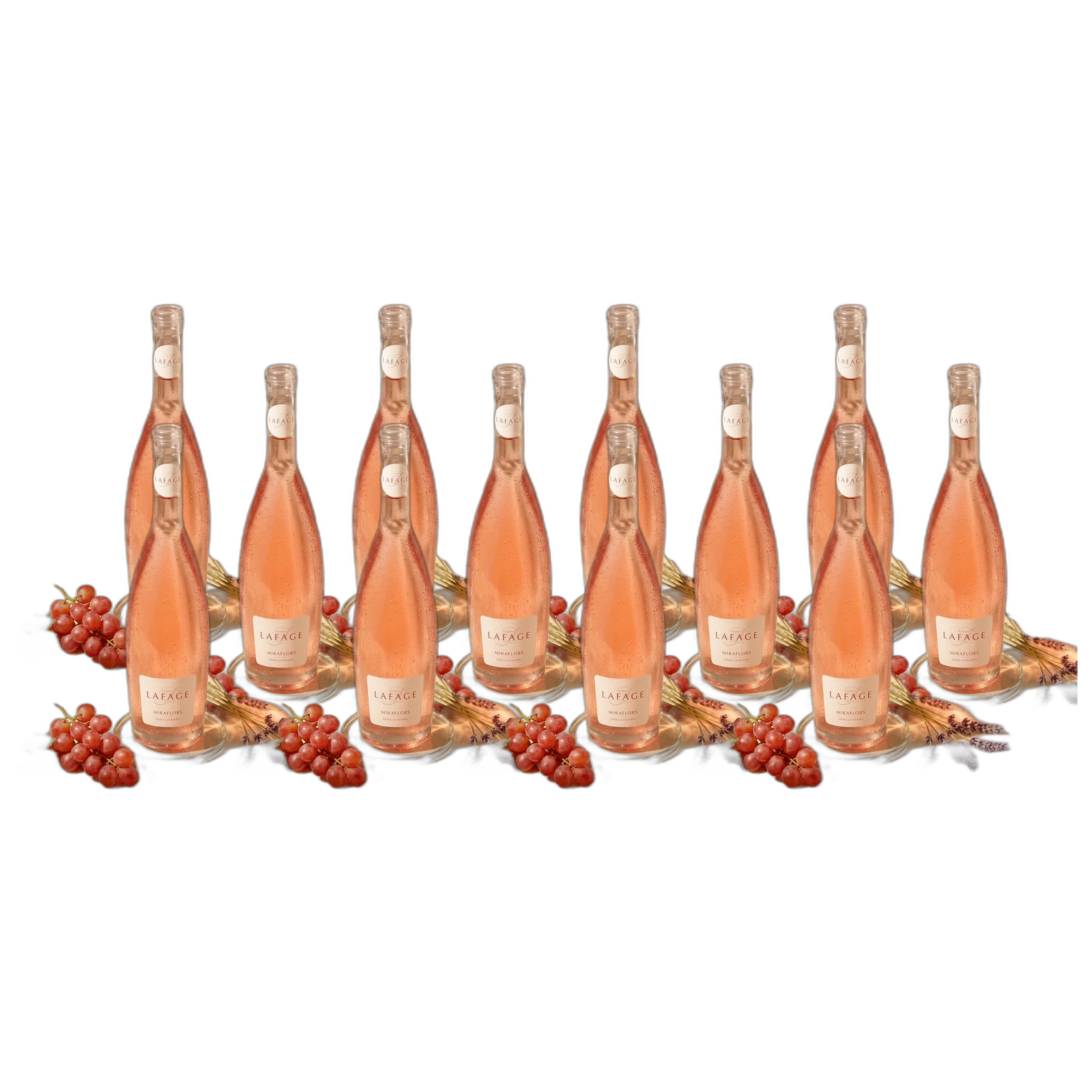 Spar-Paket 12× Domaine Lafage Miraflors Rosé