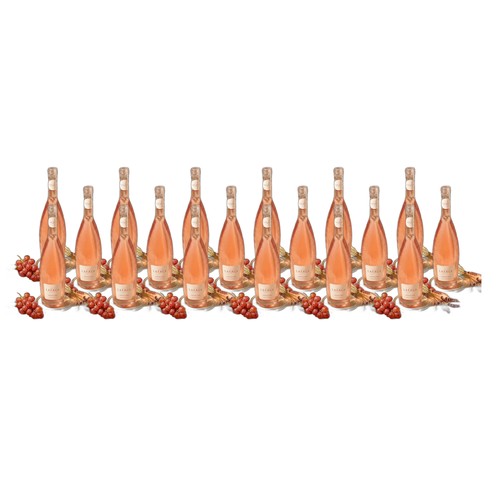 Spar-Paket 18× Domaine Lafage Miraflors Rosé