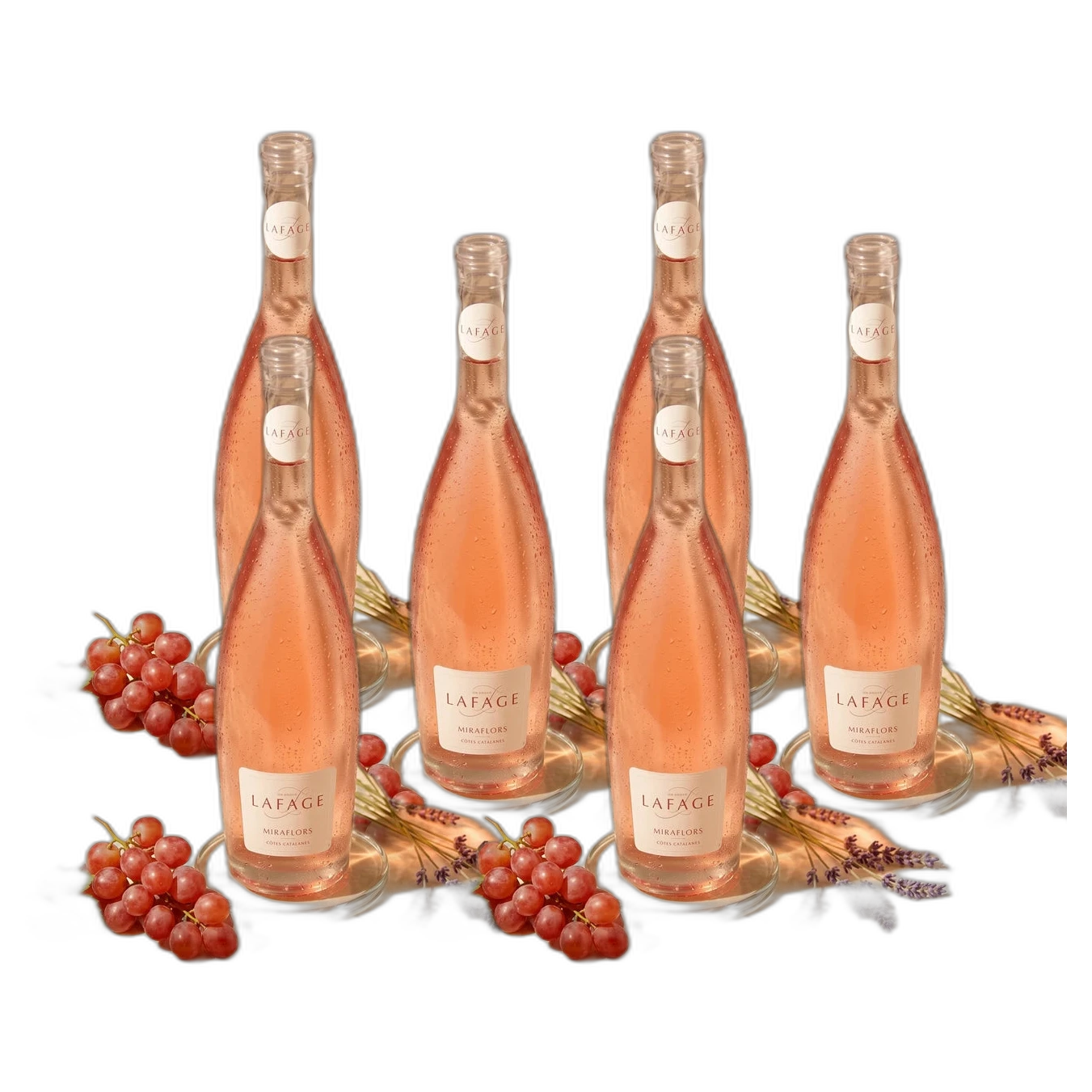Spar-Paket 6× Domaine Lafage Miraflors Rosé