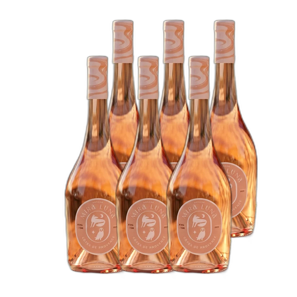 Spar-Paket 6× Côtes de Provence