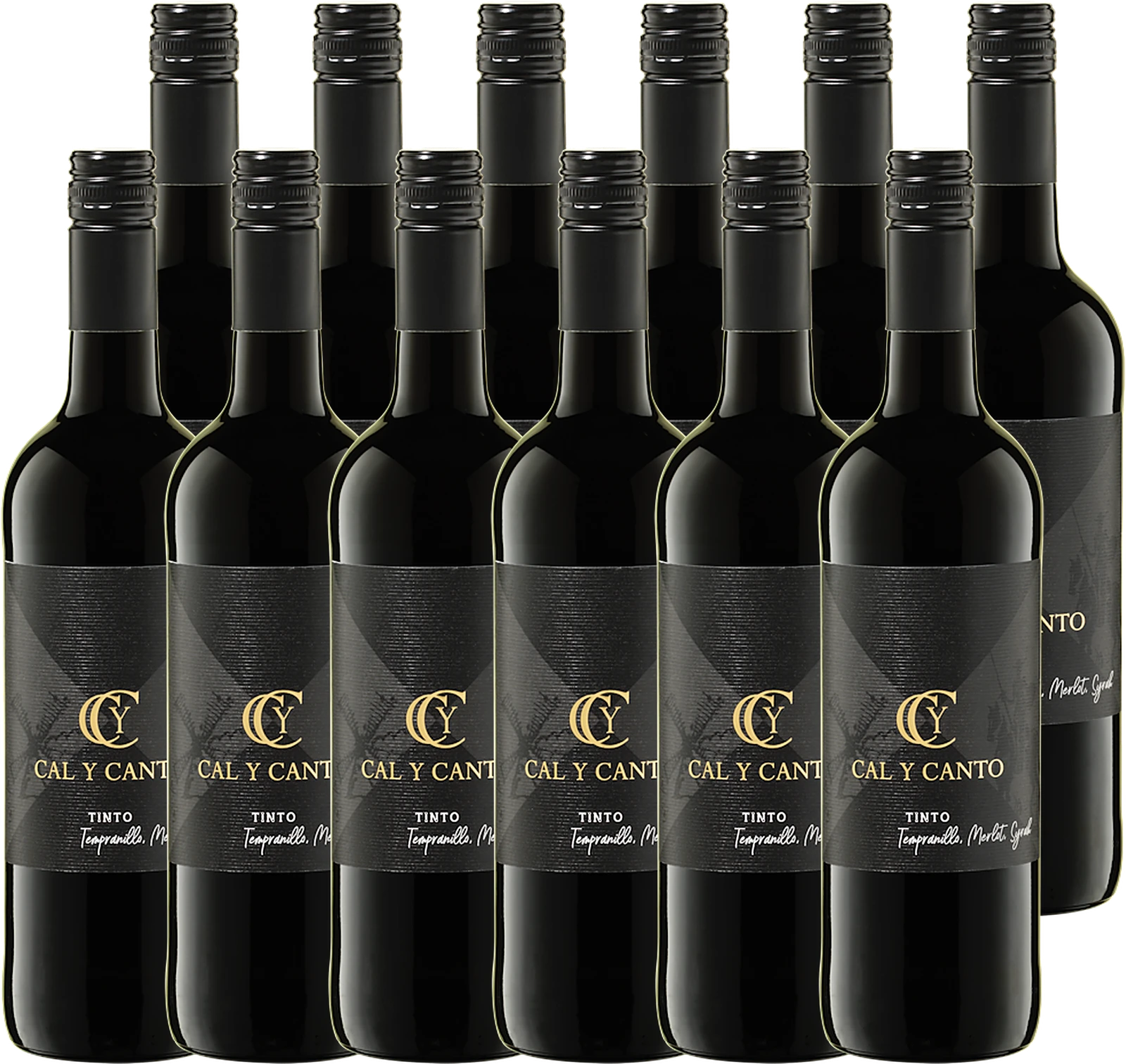 Sparpaket 12× Cal Y Canto Tinto