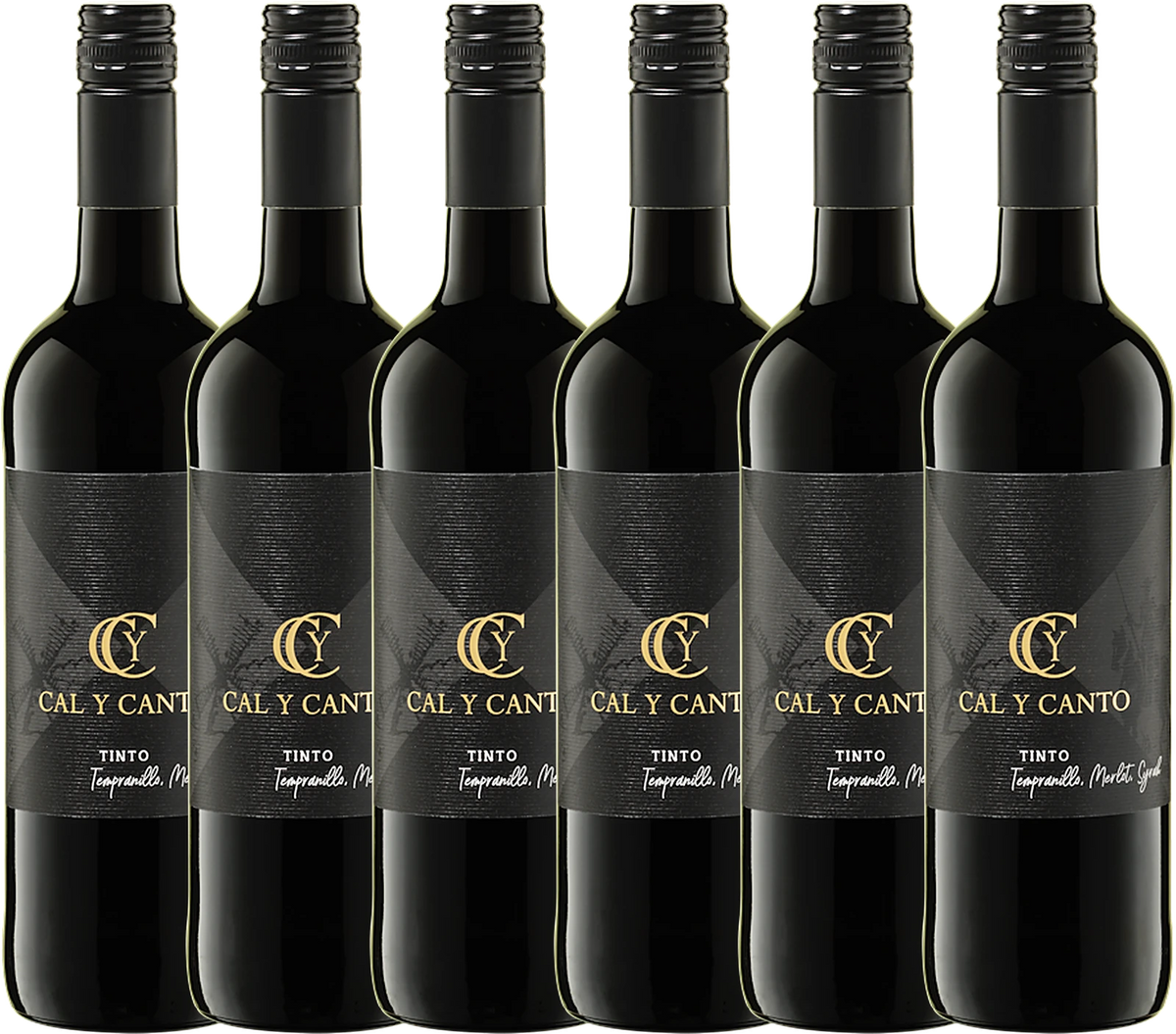 Sparpaket 6× Cal Y Canto Tinto
