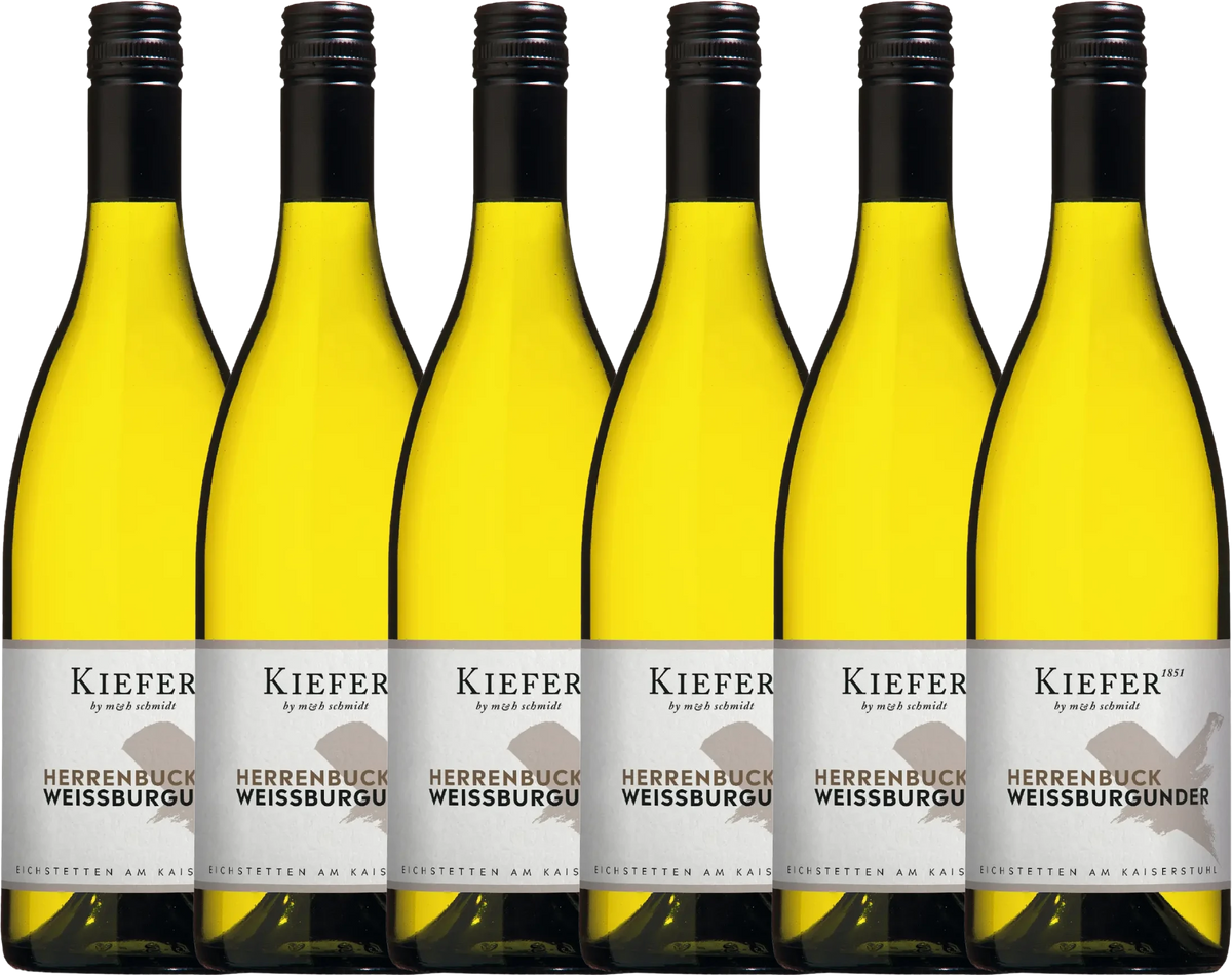 Value pack 6× Kiefer Pinot Blanc Kabinett dry