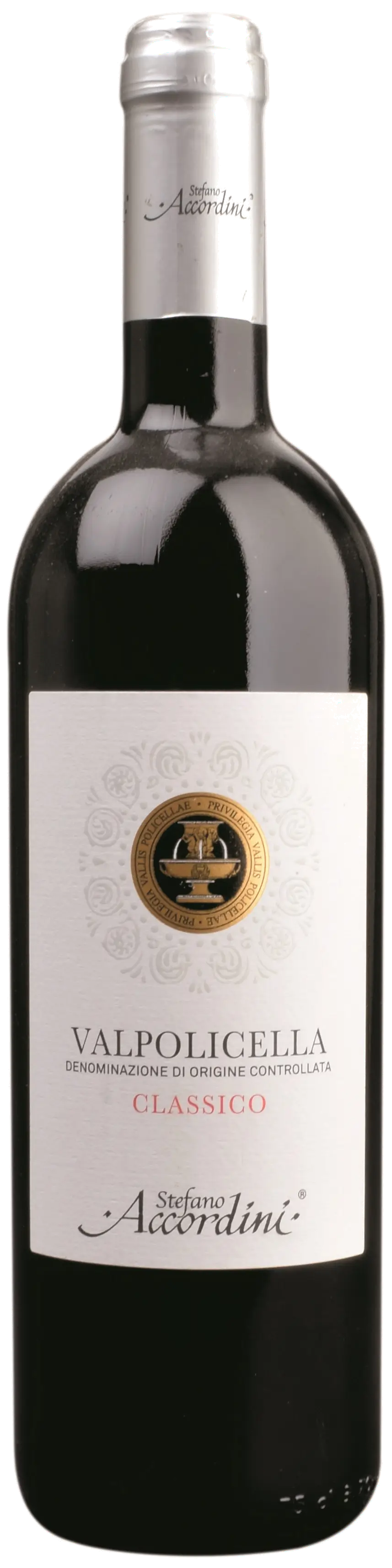 Stefano Accordini Valpolicella Classico DOC