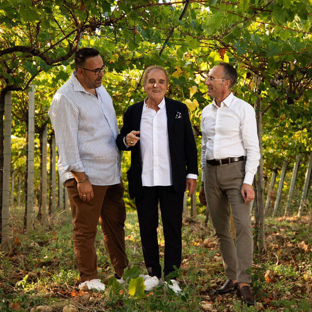 Tenuta Ulisse – Weingut in den Abruzzen, Italien, gegründet 2006 von den Brüdern Antonio und Luigi Ulisse