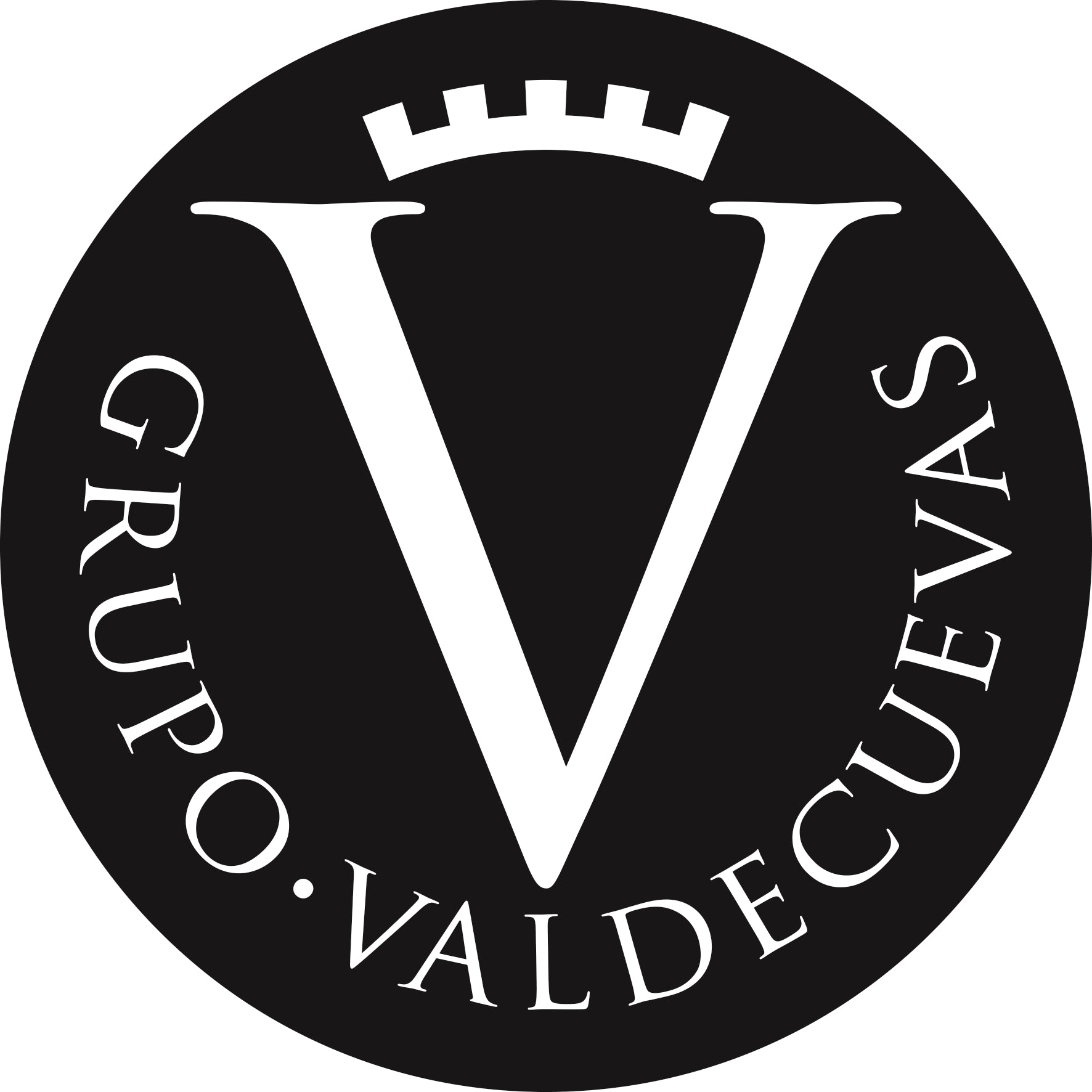 Grupo Valdecuevas – Logo
