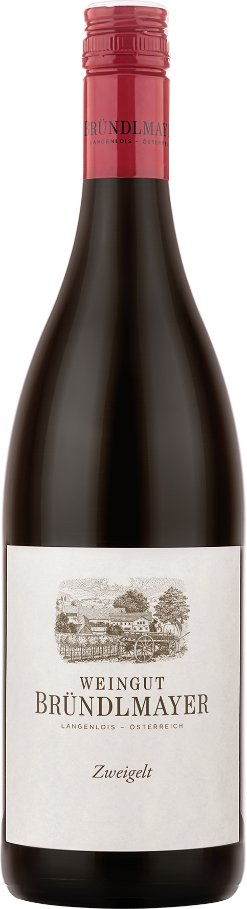 Weingut Bründlmayer Zweigelt